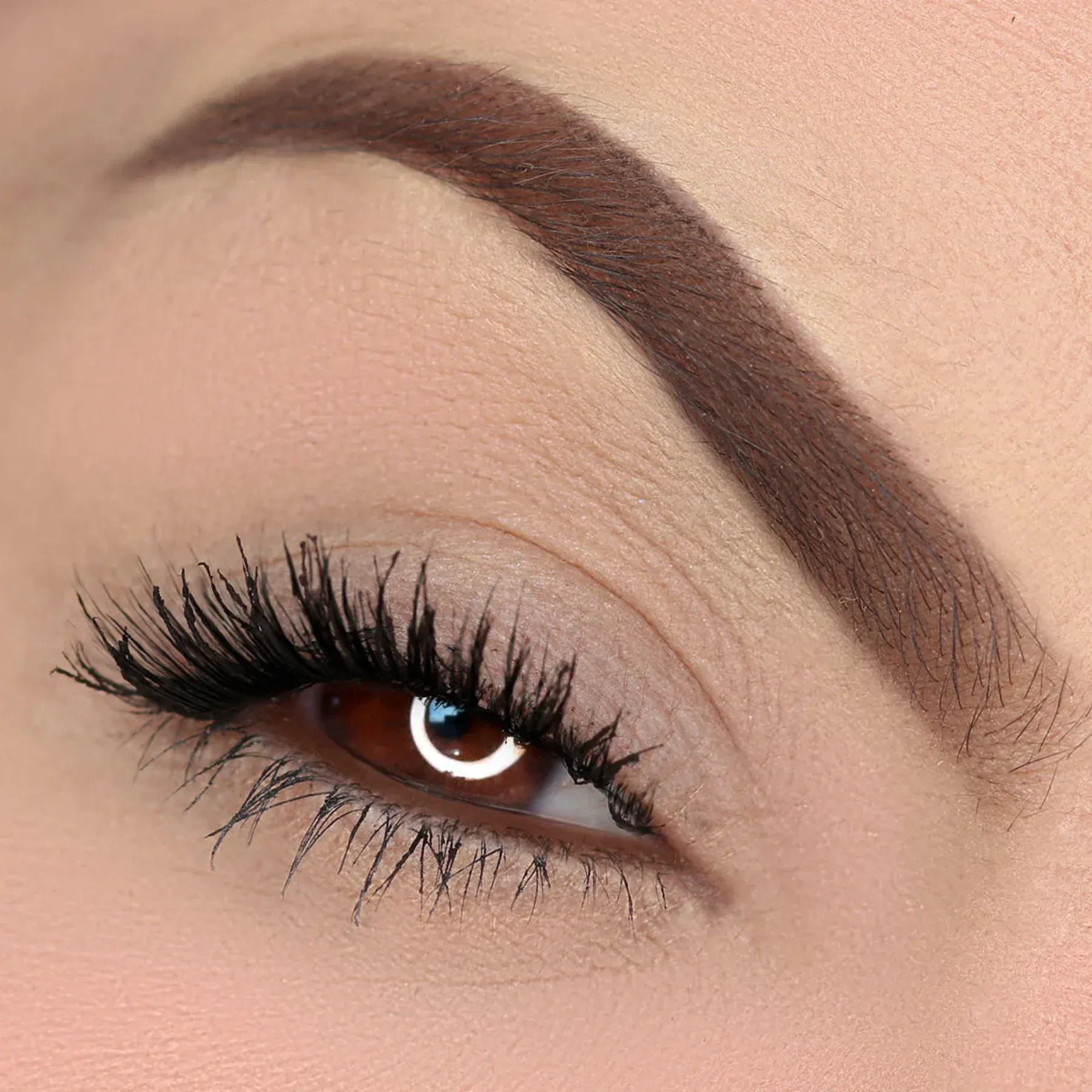 CATLOVERS MARROM -2-